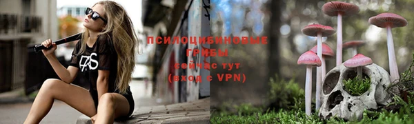 ALPHA PVP Арсеньев